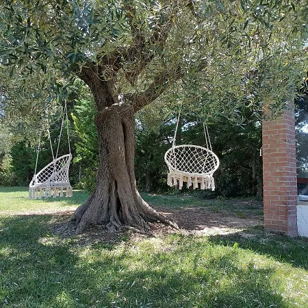 Apartment Marios Garden House Afytos