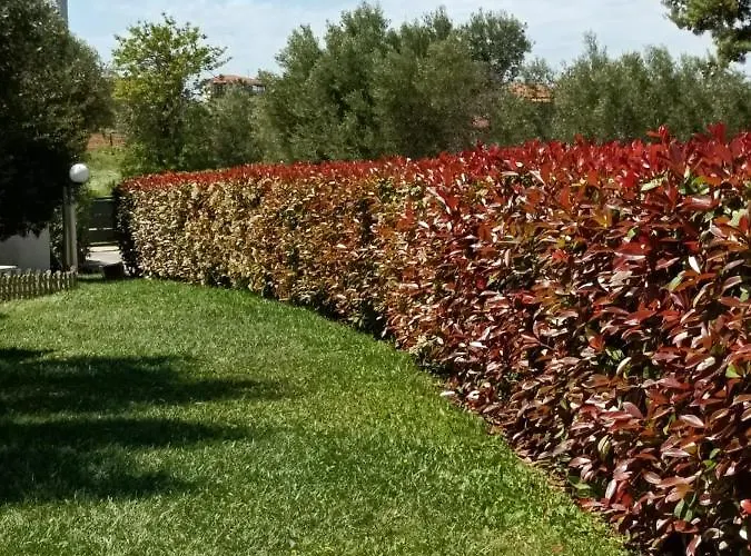 Marios Garden House 公寓