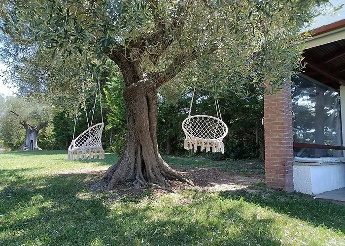 公寓 Marios Garden House 阿菲托斯