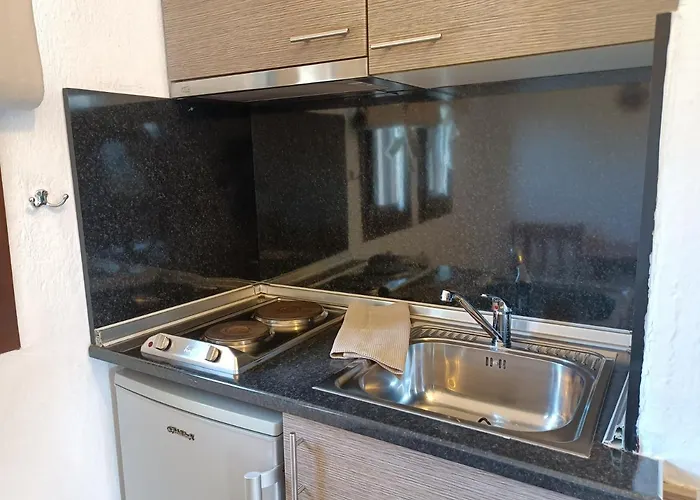 公寓 Marios Garden House 阿菲托斯