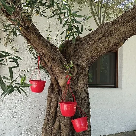 Apartment Marios Garden House Áfitos