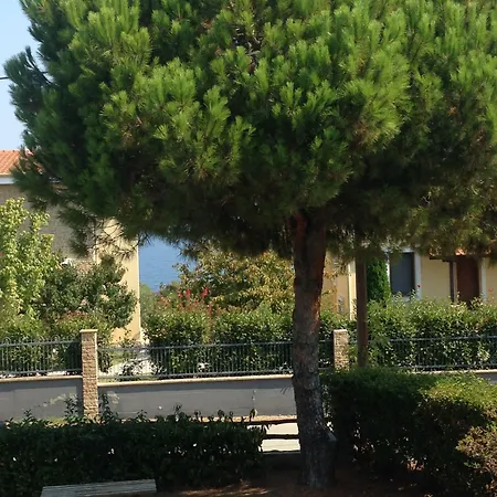Marios Garden House Apartament