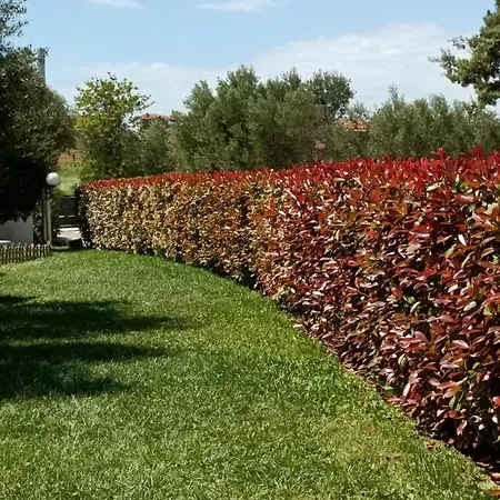 Marios Garden House 아파트