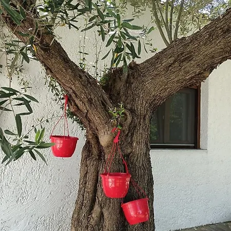Lägenhet Marios Garden House Afytos
