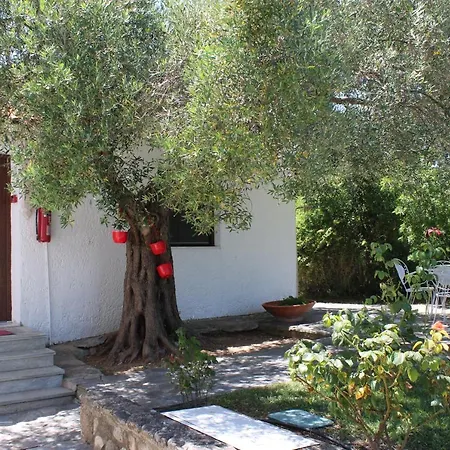 公寓 Marios Garden House