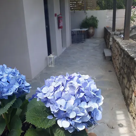 Marios Garden House * 아피토스